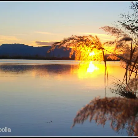 Paquita - Delta De L'ebre Holiday home *